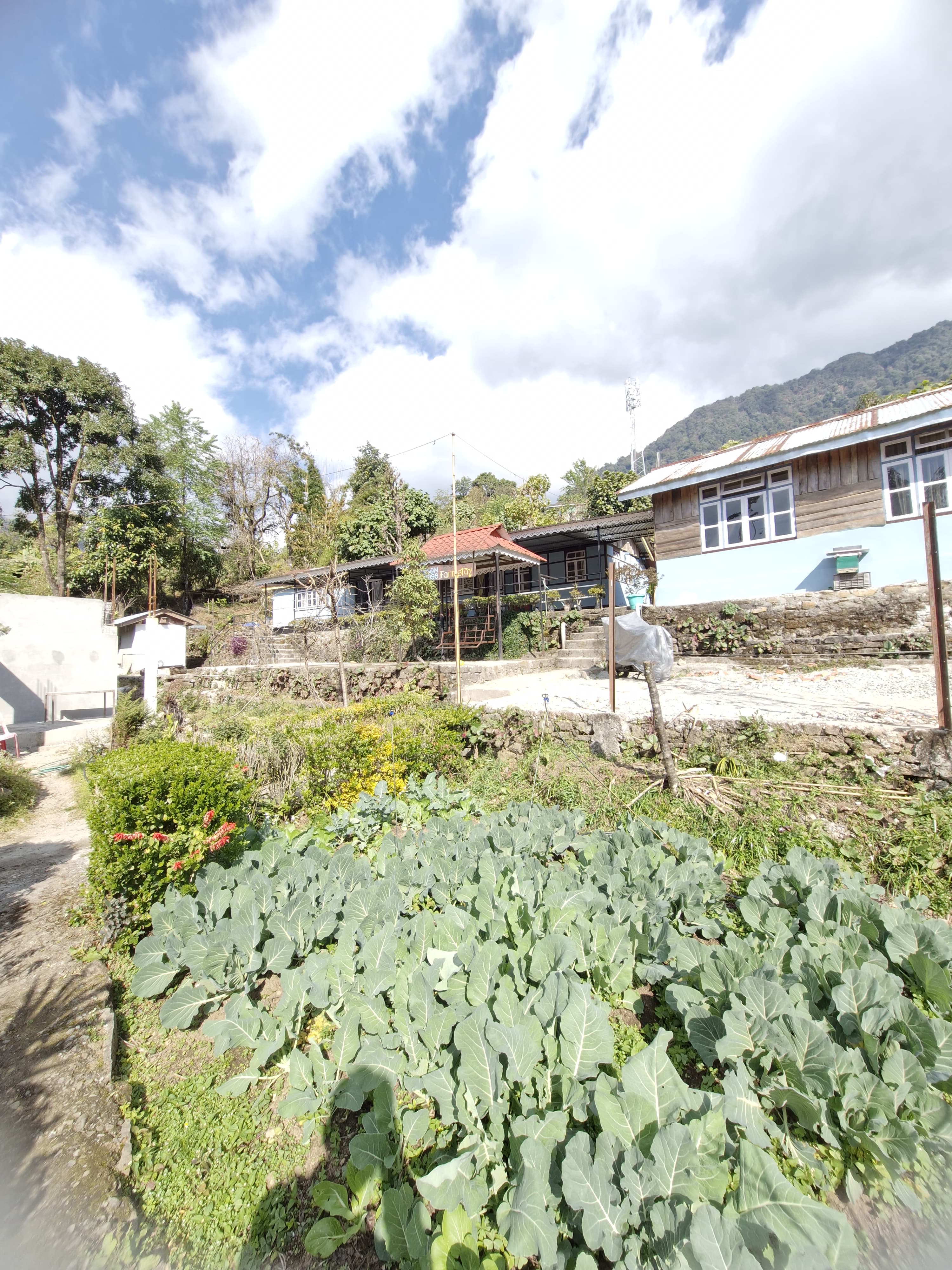 Village life
